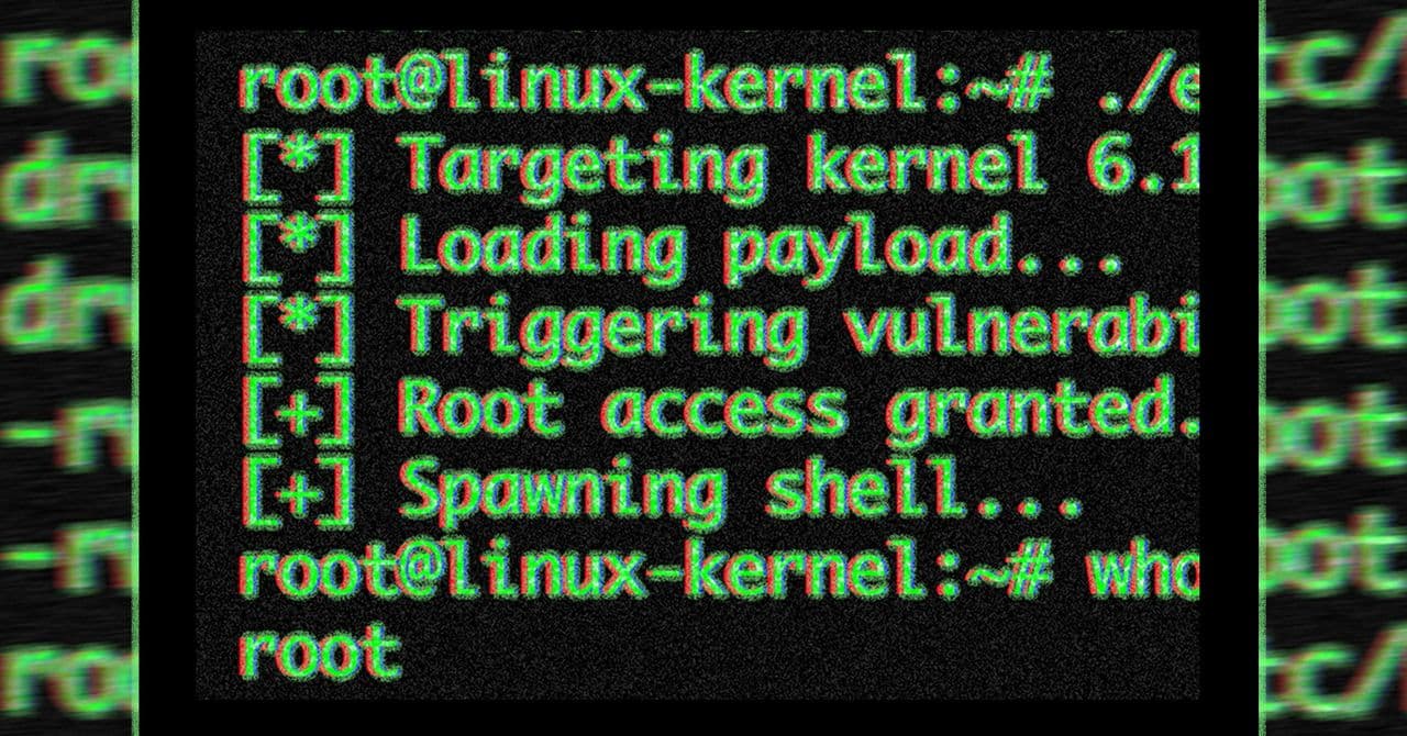 Pantalla de terminal con código Python de 732 bytes y texto de advertencia rojo