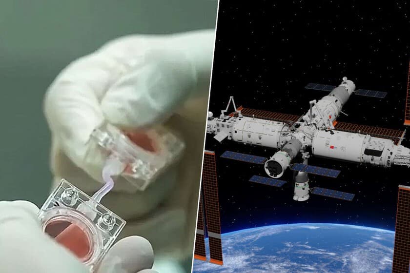 Ilustración de un feto humano flotando en el espacio con estrellas de fondo