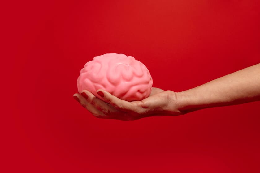 Ilustración de un cerebro humano y un cráneo antiguo comparando tamaños