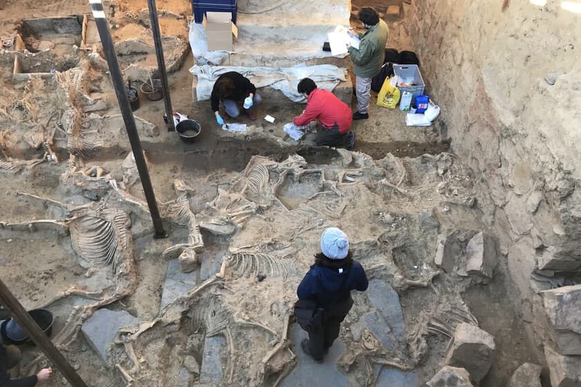 Vista aérea del yacimiento arqueológico de Tartesos en un campo de Badajoz, con estructuras circulares visibles