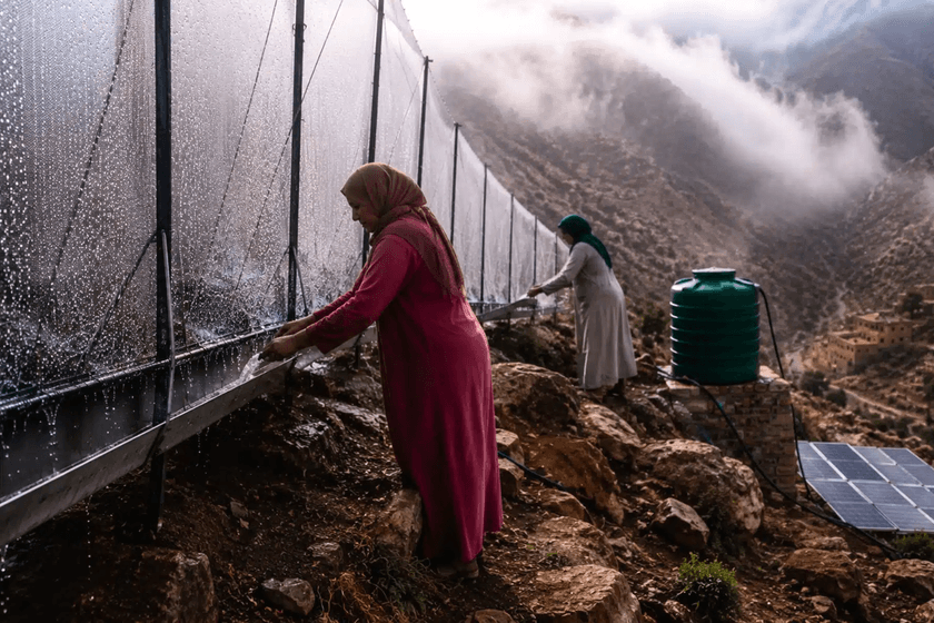 Mujeres marroquíes instalando mallas atrapaniebla en una montaña árida