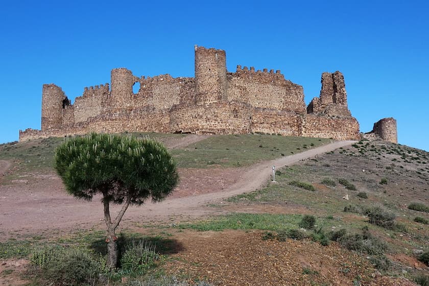 Fotografía de un castillo medieval en ruinas, con vegetación creciendo entre las piedras y el cielo nublado de fondo.