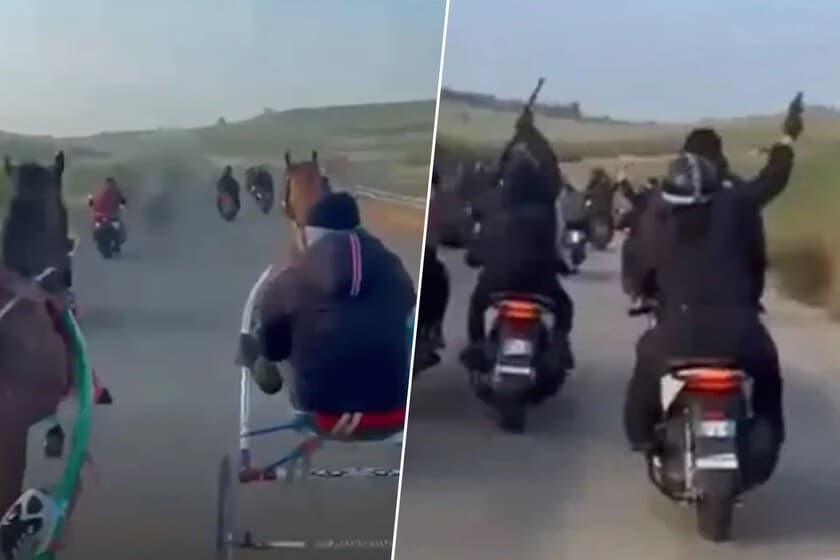 Caballo de carreras con jockey en un hipódromo siciliano, fondo de colinas