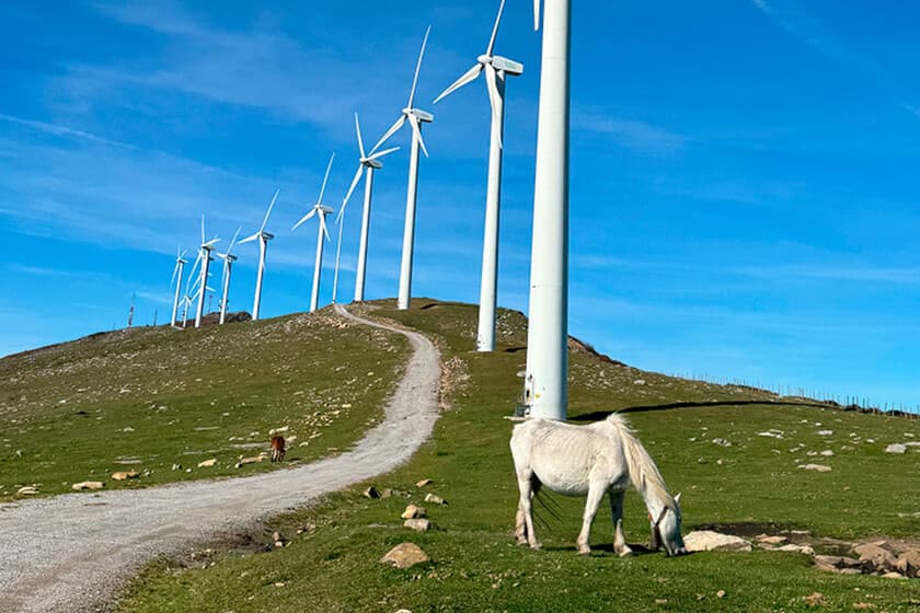 Imagen de un parque eólico en el País Vasco con un grupo de vecinos observando