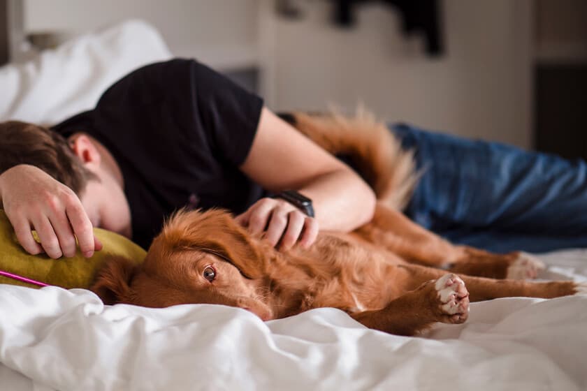 Persona durmiendo en una cama ordenada, sin mascotas, con luz tenue y expresión relajada