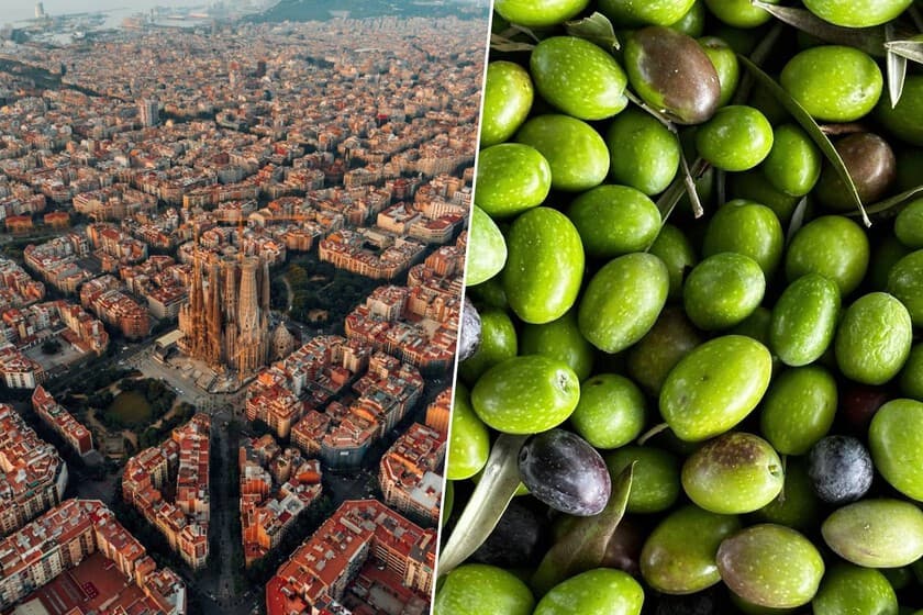 Obra de asfaltado con material ecológico de aceituna y madera en una calle de Barcelona