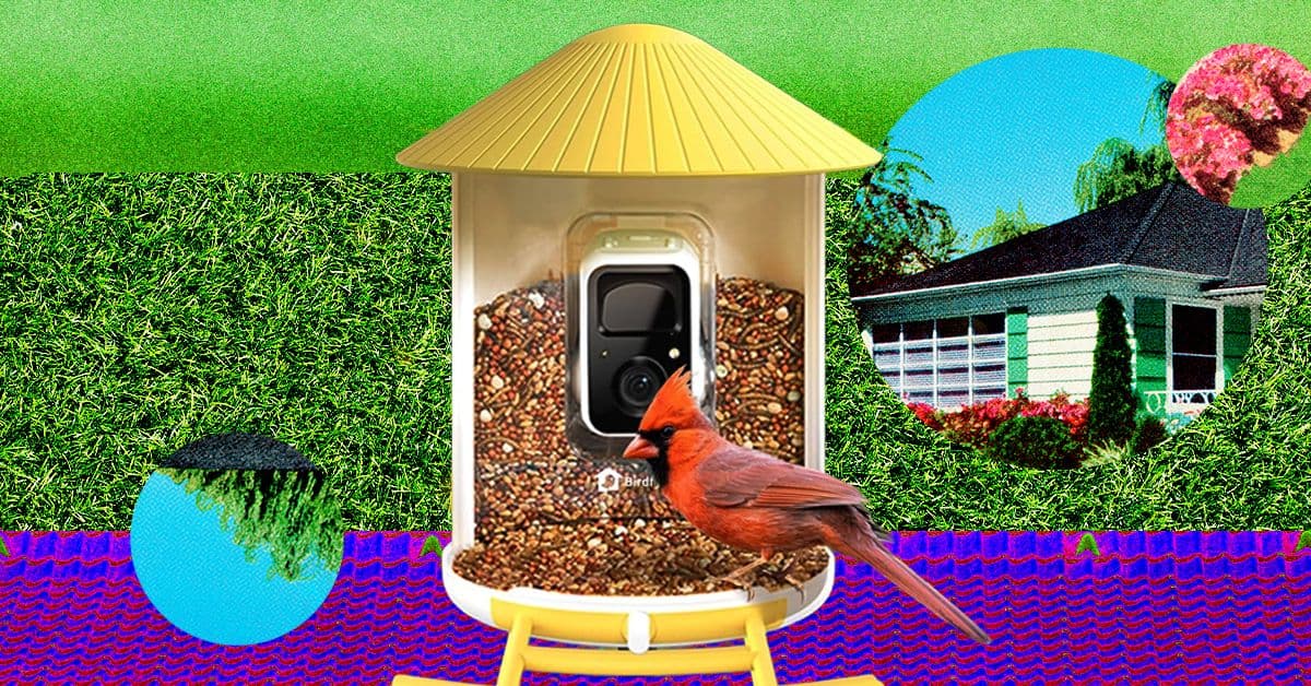 Comedero inteligente con cámara en un jardín, con un pájaro posado