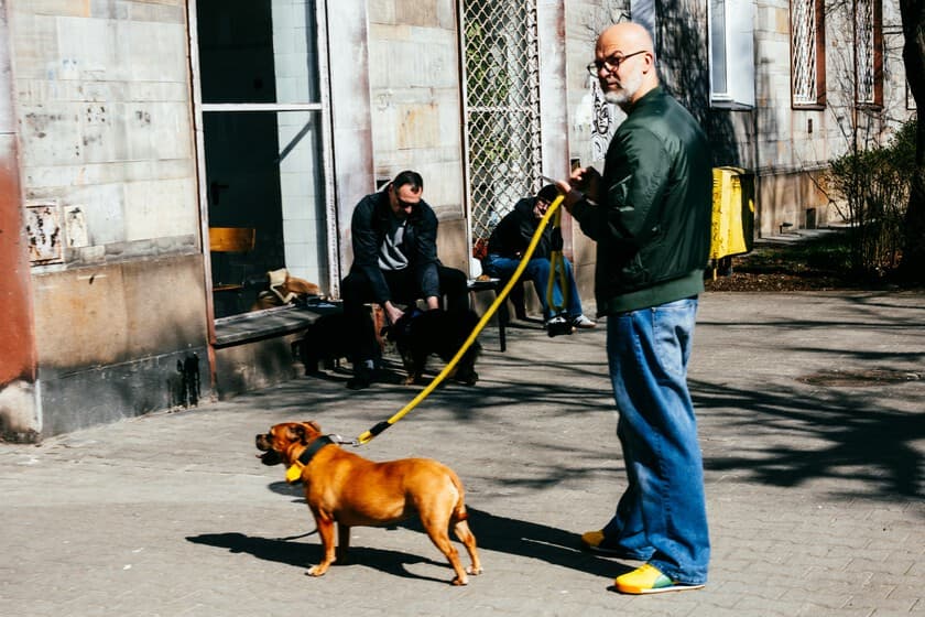 Fotografía de un perro en un pasillo de un edificio de apartamentos, con un cartel de 'No perros' al fondo